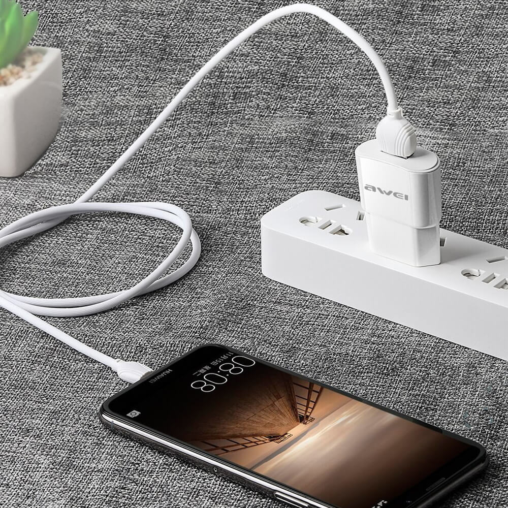 شارژر مسافرتی به همراه کابل Micro USB اوی C-831